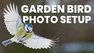 How I Photograph Wildlife Without Leaving My Backyard | Peter Dam