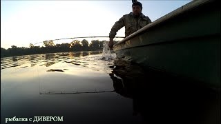 Квоки для ловли сома на квок