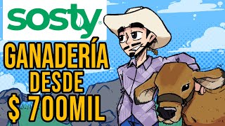 🇨🇴🇨🇴 Ojo! La VERDAD sobre Sosty 🇨🇴🇨🇴