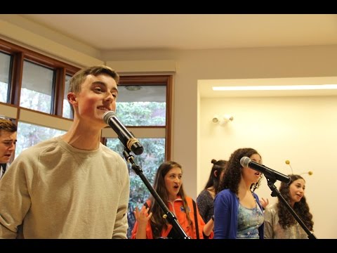 Di Mezinke Oysgegeben (Shir Appeal Spring Show 2017: Shpace)