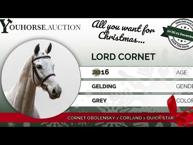 Lord Cornet showvideo