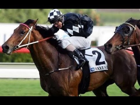 2005 ATC The Metropolitan Handicap