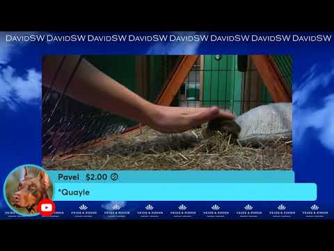 ARCHIELUXURY LIVE - 16/2/2022