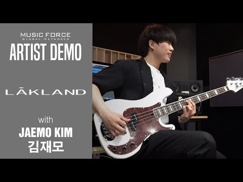 Lakland Skyline 44-64 Lakland Skyline 44-64 Custom PJ - 4-String Bass - White Gloss w/Tortoise Pickguard image 9