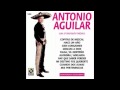 Falsa- Antonio Aguilar