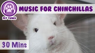 Music for Chinchillas! 30 Minutes of Relaxation Music for Cheeky Chinchillas!