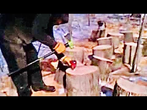Splitting large oak chunks in half with Wilton "indestructible handle'' maul