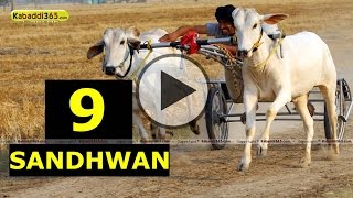 (1) Sandhwan (Nawanshahr) Ox Race 17 May 2015