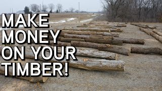 Make Money On Your Timber | Consulting a Forester | What You Need To Know