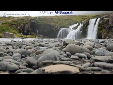 , title : 'Surah Baqarah of Holy Quran, 1 of the World's Best Quran Video in 50+ Languages'