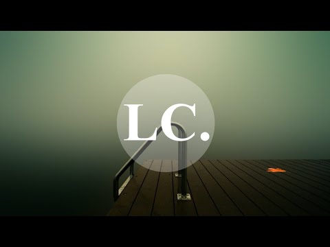 Nico Szabo - Raccoon