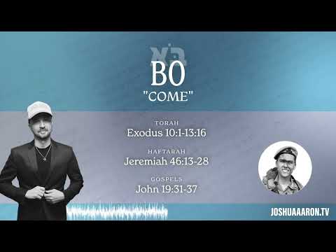 Joshua Aaron reads this week's Torah portion with his son, Shuki, Bo - Come - בֹּא