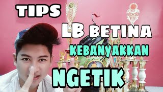 Download lagu PENYEBAB LB BETINA SF kebanyakan NGETIK mp3