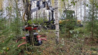 Tête d'abattage Farmikko 300TCE Tree shear à vendre - Image 4 | Agronetto SN Tête d'abattage Farmikko 300TCE Tree shear neuve | Image 4 - Agronetto