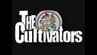 The Cultivators LIVE ~ Barter Fair Remix 2012