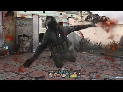 Call of Duty MW le sp-r208 une vrai turie