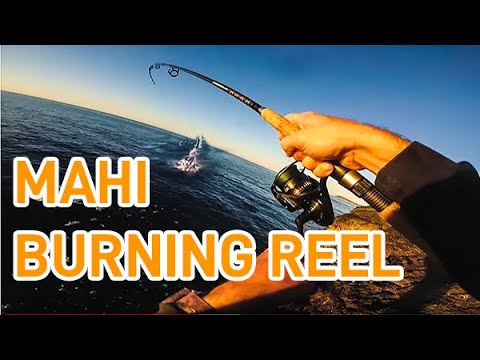 Ribolov na moru - Lampuga - Fishing in Croatia Vis