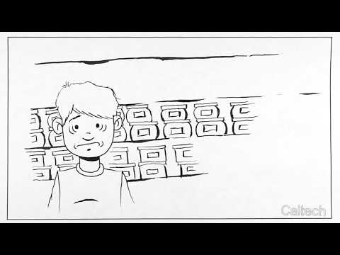 Choice Overload Explained