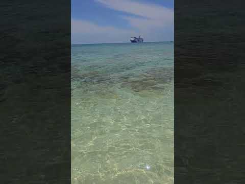 Thumbnail for Princess Cays Island Beach | Carnival Jubilee