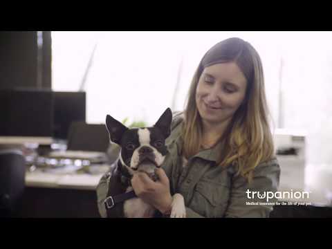 Trupanion Deductible: What You Need to Know