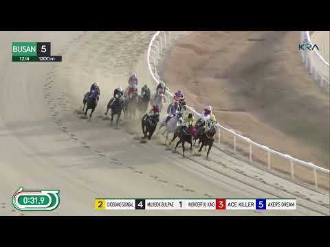 (Busan) 2022.12.04 R5 Choegang Ssonsal notches 6th career win