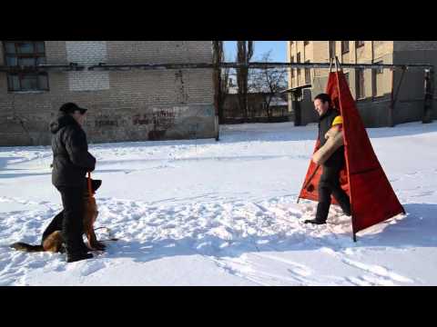 Bonita Vom Lemar Hof 25 01 2014