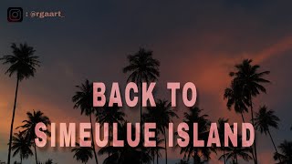 preview picture of video 'BACK TO SIMEULUE ISLAND'