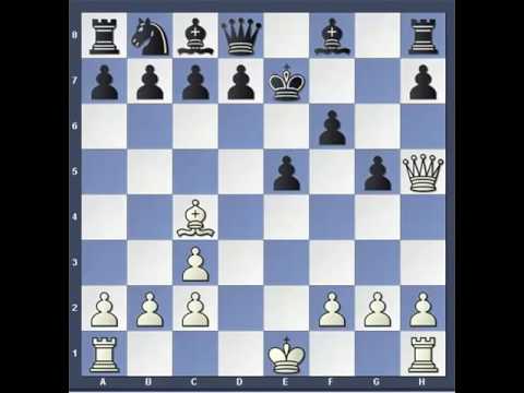 Trappole in Apertura 16 - Difesa Russa  - Gambetto Boden 2