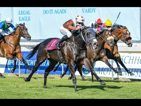 CELTIC SEA IS PRIMED FOR THE CAPE FLYING CHAMPIONSHIP