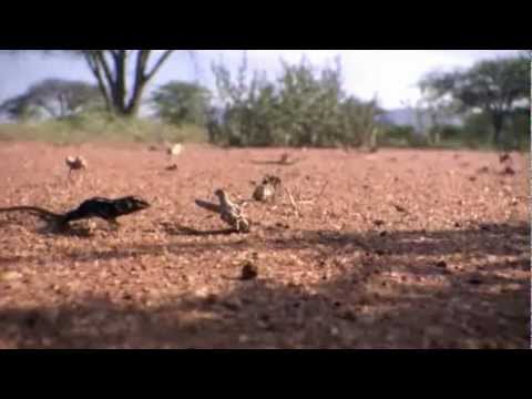 The Velvet Underground & Nico - I'll Be Your Mirror