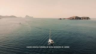 D Lounge Restaurant at Destino Pacha Resort