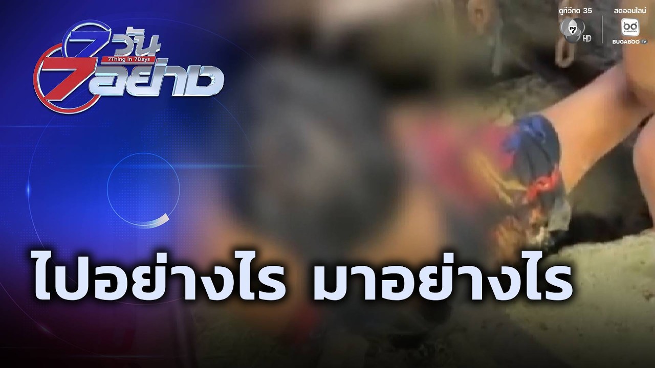 จบหลักสูตร | 7 วัน 7 อย่าง