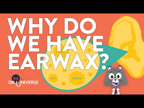 Why Do We Have Earwax?