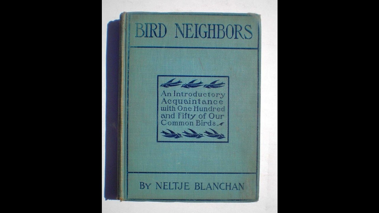 Bird neighbors: An introductory acquaintance with one hundred and fifty birds