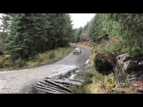 VW Polo R5, Wales