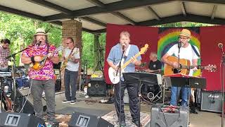 The Jayhawks - Save It For a Rainy Day - Neighborhood Picnic Band 2019