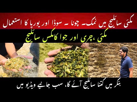 Important tips for silage making II Mix silage of makai and sorghum II Urea and salt in silage