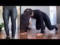Shiny Spandex Leggings Simple Workout At Home