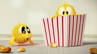 Chicky loves popcorn | Where's Chicky? | Cartoon Collection in English for Kids | New episodes