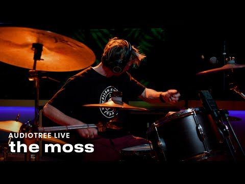 the moss - Willie's Song | Audiotree Live