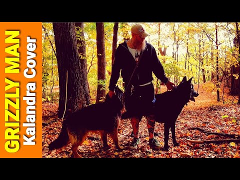 Rockettothesky - Grizzly Man (Kalandra cover)