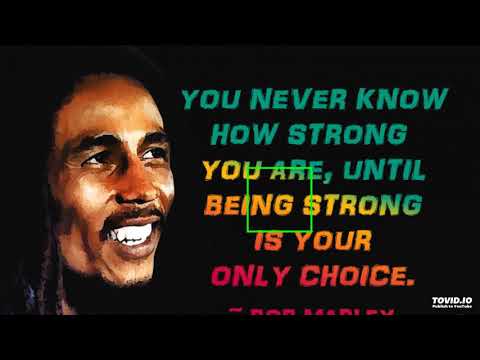 Macka B - Everybody Loves Bob Marley (432)
