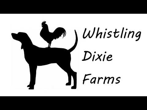download lagu mp3 mp4 Buy Bone Meal For Dogs, download lagu Buy Bone Meal For Dogs gratis, unduh video klip Buy Bone Meal For Dogs