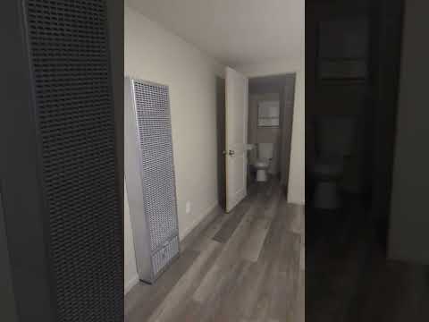 Renovated Basement Level Studio Apartment in Columbia, MO property video