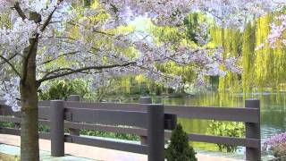 &quot;Angel de la Noche&quot; David Bisbal