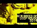 New Breed of Deep House Bonus Mix1 by The WIG ...