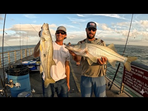 Most People DON'T Eat this Part of the Fish | Jetty Snook Fishing Catch Clean Cook
