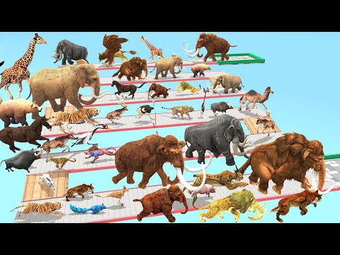 Ultimate Race 40 Wild Animal vs Prehistoric Mammals Speed Race Run Zigzag Down Course! from Outside