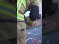 Wat een helden! Zo redt de brandweer een meerkoet die was vastgevroren in een vijver | RTV Oost
