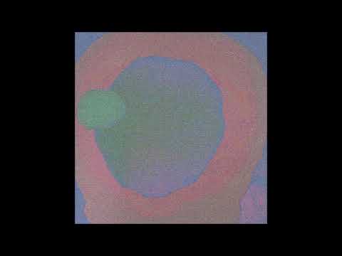 Los Pashminas - Turtle Haze Convolution (Que Sakamoto & NT Remix)